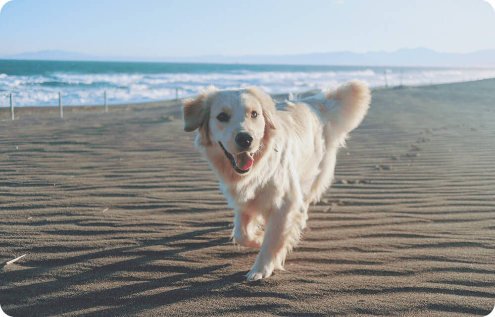 マミーズパウ沖縄サロン